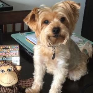 Meet your Posher, Stephanie